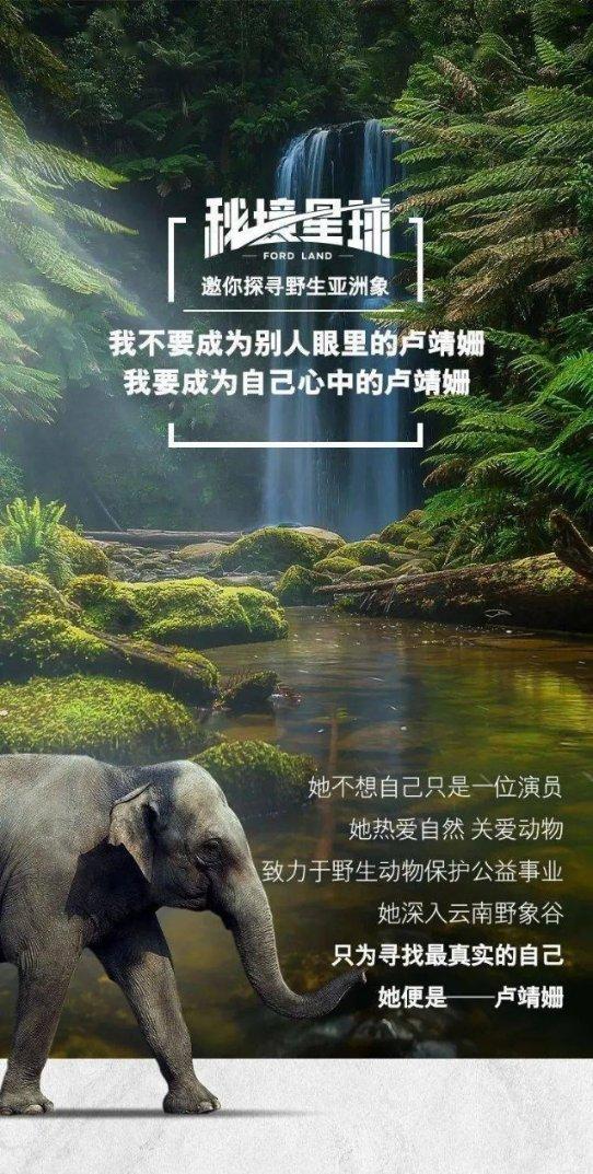 女子丢失心爱泰迪犬 警民接力寻回获点赞 看看吧